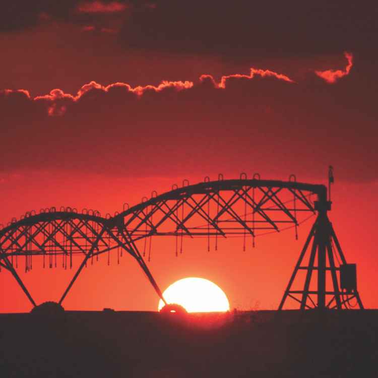 GFB Photo Contest winners capture beauty of farm life